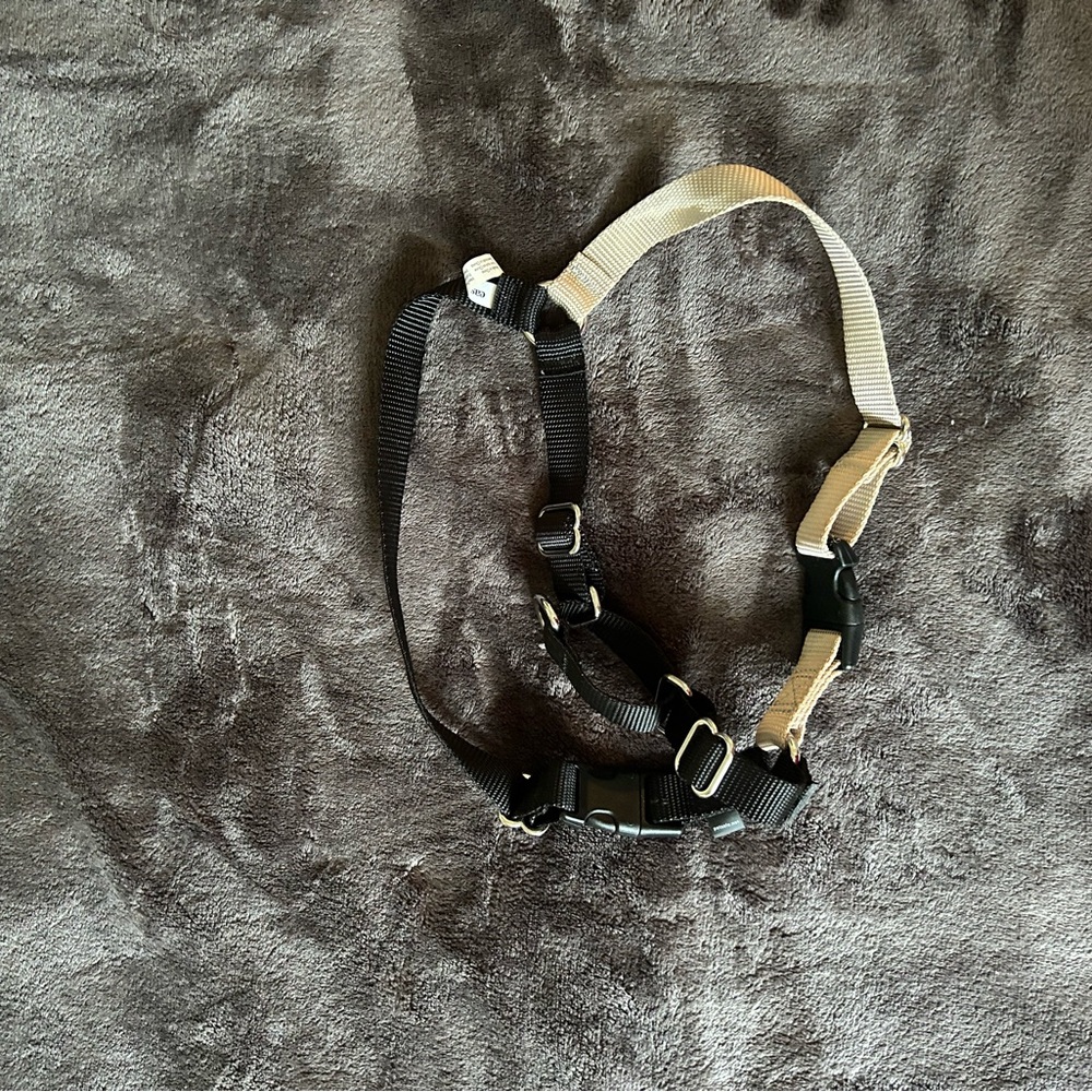 Easy Walk Black and Tan Pet Harness